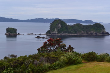 Fototapeta na wymiar Ocean view at Paihia in New Zealand