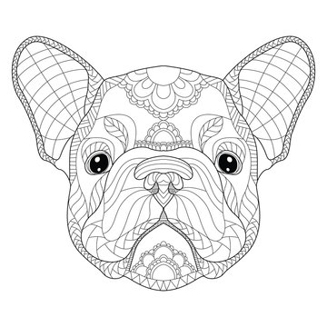 Bulldog Head Animal Coloring Book Adults Stock Vector (Royalty Free)  633984896