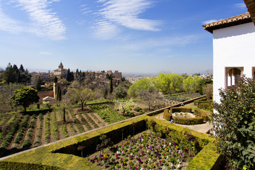Fototapeta na wymiar Alhambra of Granada, Andalusia, Spain