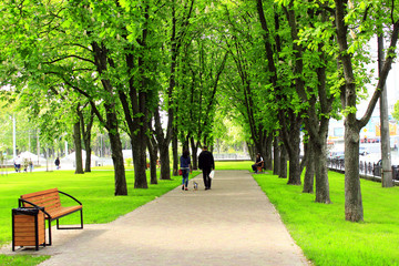 city park with green trees
