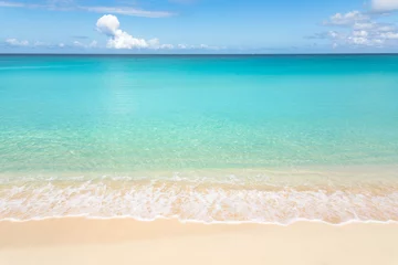 Photo sur Plexiglas Plage et mer Plage tropicale calme aux eaux turquoises