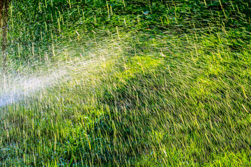 Splashing water against grass background