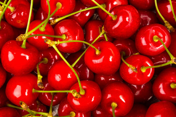 large ripe red cherries