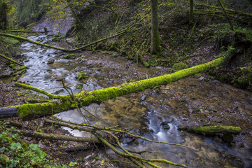 Wasserfall, Bachlauf, Wasser, Bach