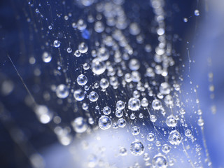 blue web net with water drops