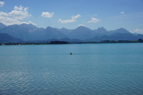 Schwimmer in oberbayerischem See