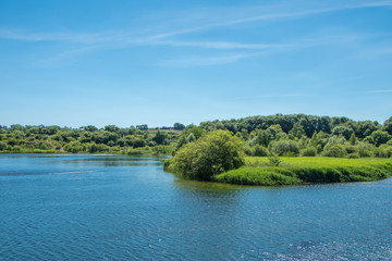 Reed field by a lake