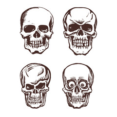 Set of vector skulls.