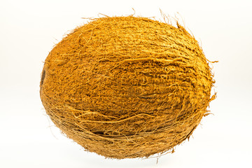 Kokosnuss freigestellt von der Seite