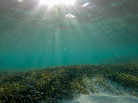 What lies beneath