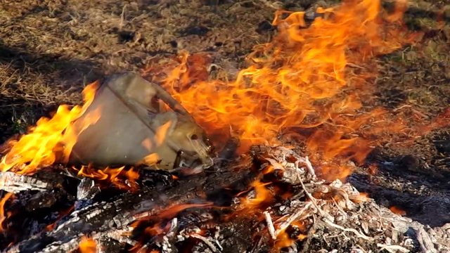 The plastic container in the fire melted away from the heat
