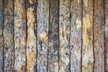 Obraz premium Texture of the planks of wood.