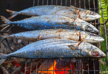 Fried on the grill fish mackerel in nature. Cooking on the grill.