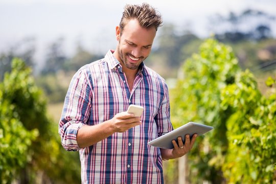 Man with digital tablet using mobile phone at vineyard