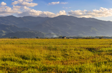 Obraz premium Rice field in the countryside near Muang Sing, Laos