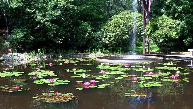 Flume fountain waterfall lands in oval pool of lotus flowers at Heritage Museums and gardens on Cape Cod