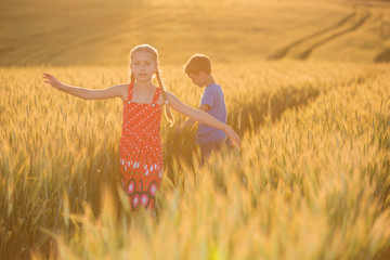 Children go, run along the wheat field, sunset, beautiful nature landscape of nature. Rural scenery under the shining sunlight.