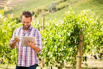 Man using tablet and phone at vineyard on sunny day