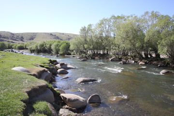 mONGOLIE