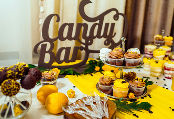 Holiday candy bar. Candy bar served with cupcakes with chocolate and lemon cream on stump