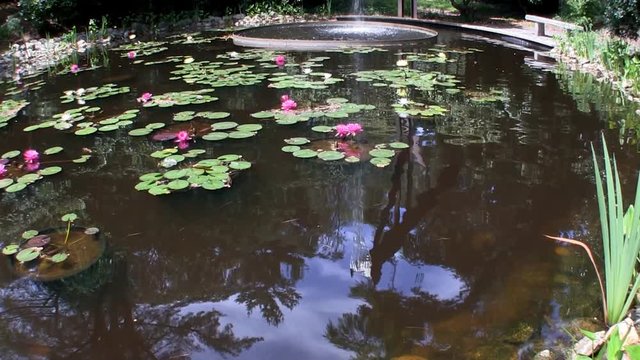 Reflected sky in flume fountain waterfall of oval pool with lotus flowers at Heritage Museums and gardens on Cape Cod