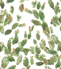 Seamless pattern with green blooming cacti painted in watercolor on white isolated background