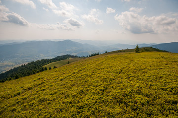 Carpathian landscape
