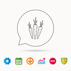 Carrots icon. Vegetarian food sign. Natural vegetables symbol. Calendar, Graph chart and Cogwheel signs. Download and Shield web icons. Vector