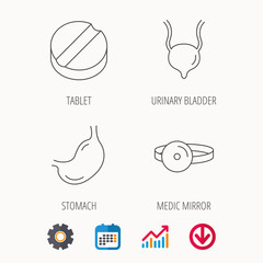 Medical mirror, tablet and stomach organ icons. Urinary bladder linear sign. Calendar, Graph chart and Cogwheel signs. Download colored web icon. Vector