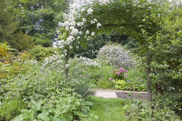 Colorful summer garden with a white rose arch, cottage flowers in bloom, leafy shrubs and tall trees .