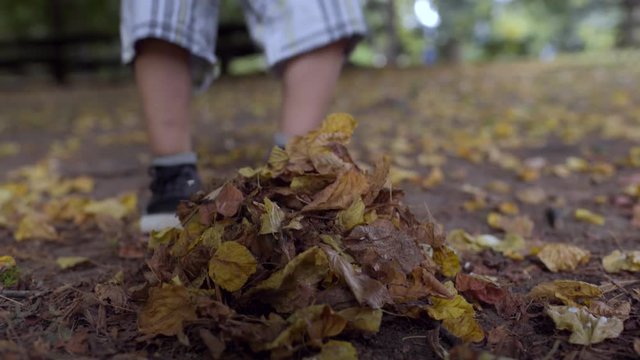 Kids Play Outside, Little Boy Makes Leaf Pile, His Sister Kicks The Leaves For Fun 