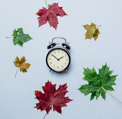 Autumn maple leaves and alarm clock