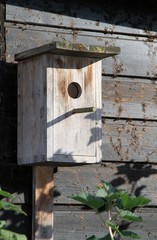 Nistkasten für Singvögel