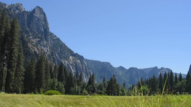 Yosemite Valley in June