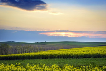 South Moravia landscape  during sunset