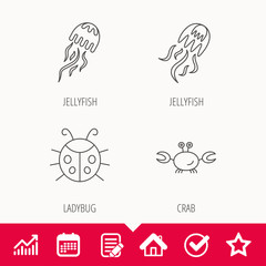 Fototapeta premium Jellyfish, crab and ladybug icons. Ladybird linear sign. Edit document, Calendar and Graph chart signs. Star, Check and House web icons. Vector