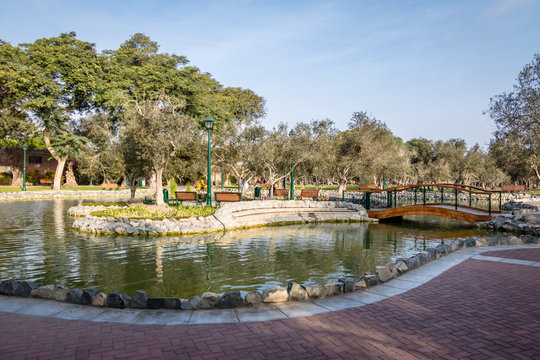 Olive Grove Park (or El Olivar Forest) in San Isidro district - Lima, Peru