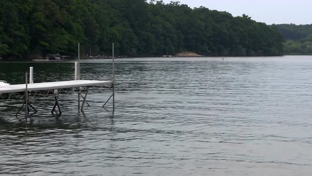 A golden retriever runs along dock and dives into freshwater pond to retrieve masters tennis ball