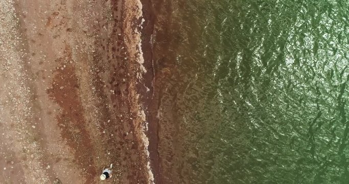 aerial footage shoot of a lake beach and girl in a hat pass on it