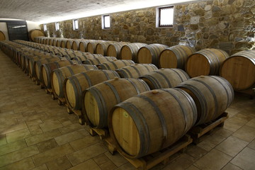 cantina con botti