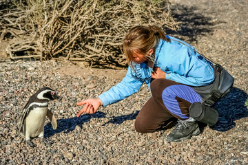 Handshake With Penguin