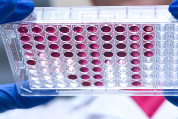 Results test with 96 wells microplate