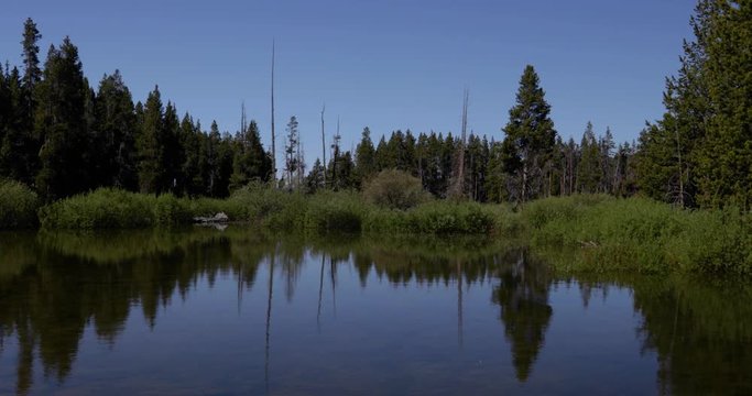 View of calm reflective pond 4k 24fps
