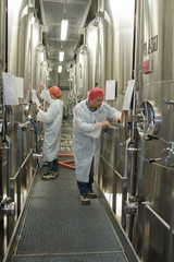 workers perform process control inspection of brewing