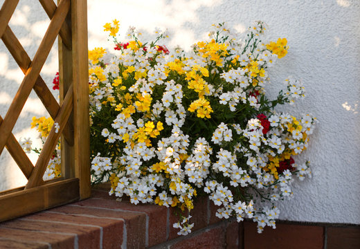 bouquet of nemesis 