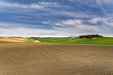 Fototapeta na wymiar Freshly sown agriculture ground with wavy meadows