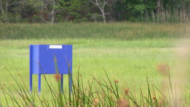A green head trap sits in middle of upland marsh controlling horsefly populations for summer time locals and tourists