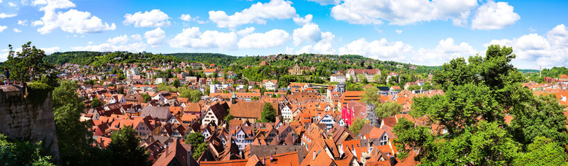 Naklejka premium Stadtpanorama von Tübingen am Neckar, Schwarzwaldkreis