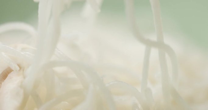 closeup of noodles with mushrooms