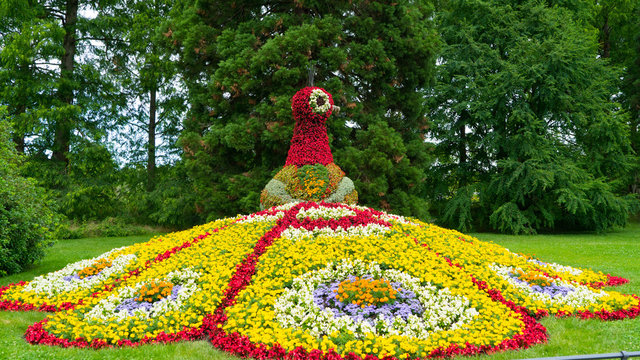 A colorful floral figure of a bird's fire on the island of Mainau.